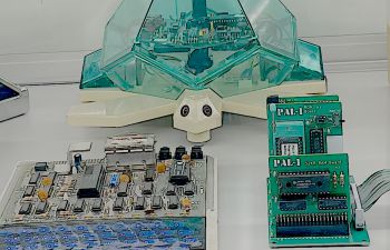 display case with bits and bobs